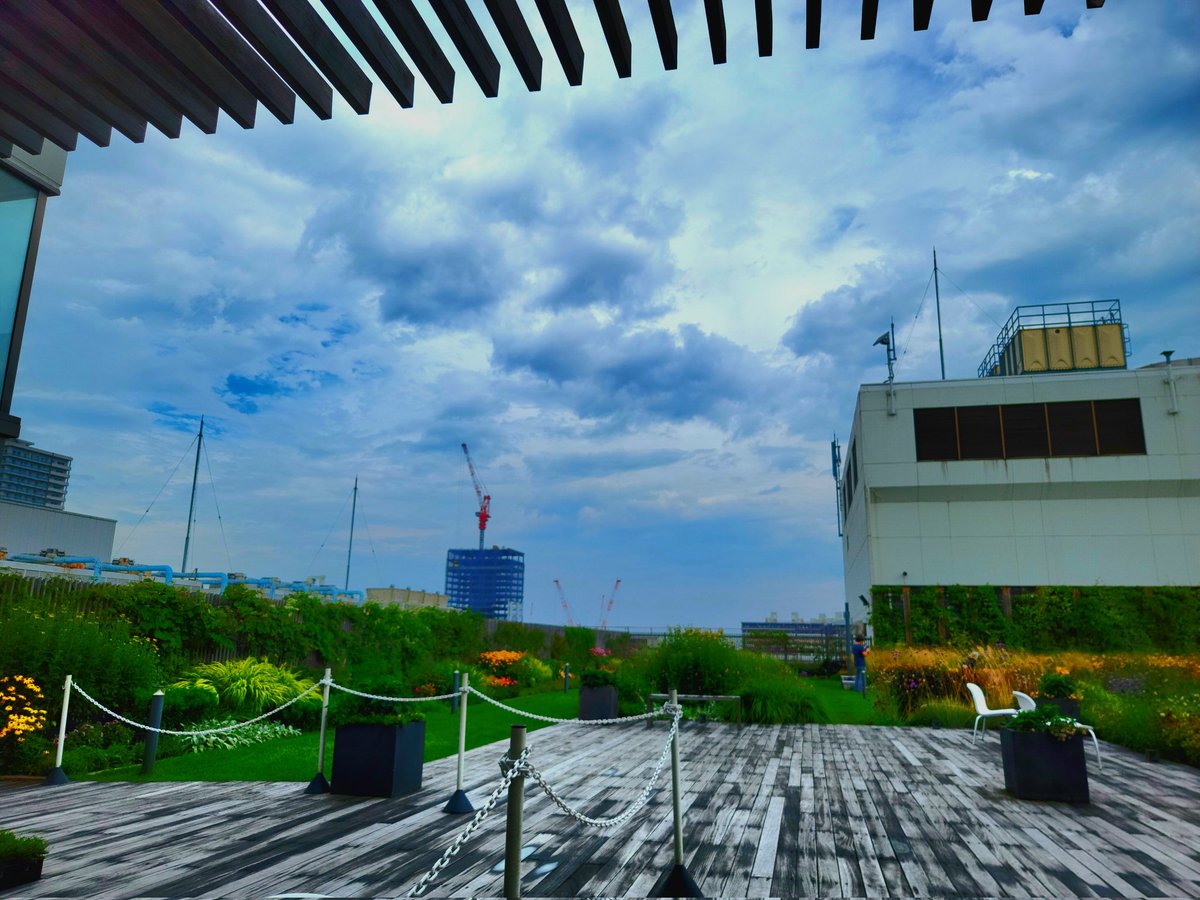 tt_eru's tweet photo. エスタ空のガーデン🌈
#札幌観光
#札駅
#隠れスポット https://t.co/lBO5BPfdTZ