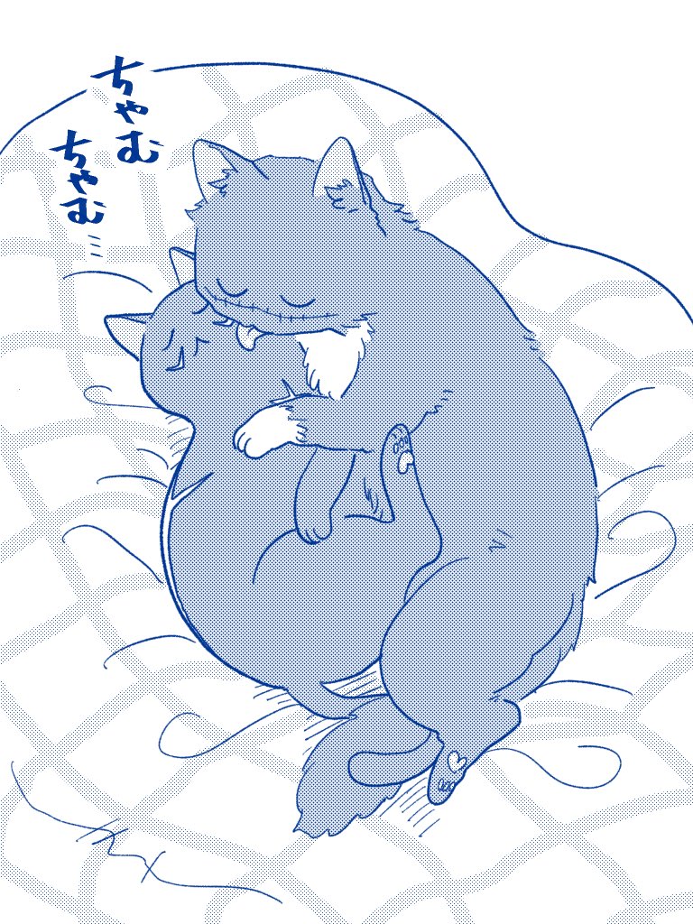 新宮茄 tweet media