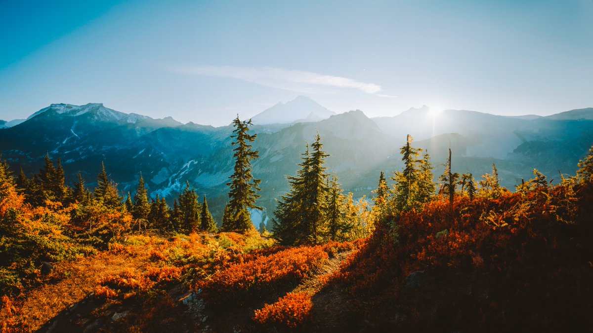 johncwingfield's tweet photo. Fall in the Cascades, on 35mm film https://t.co/59xgd5bvkC