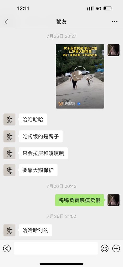 @KIEBYx2nPwpcVA0 @jpldmn 鹅和鸭不一样！鸭是傻的！