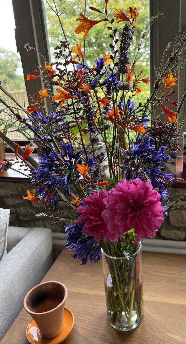 Bini Ludlow tweet media