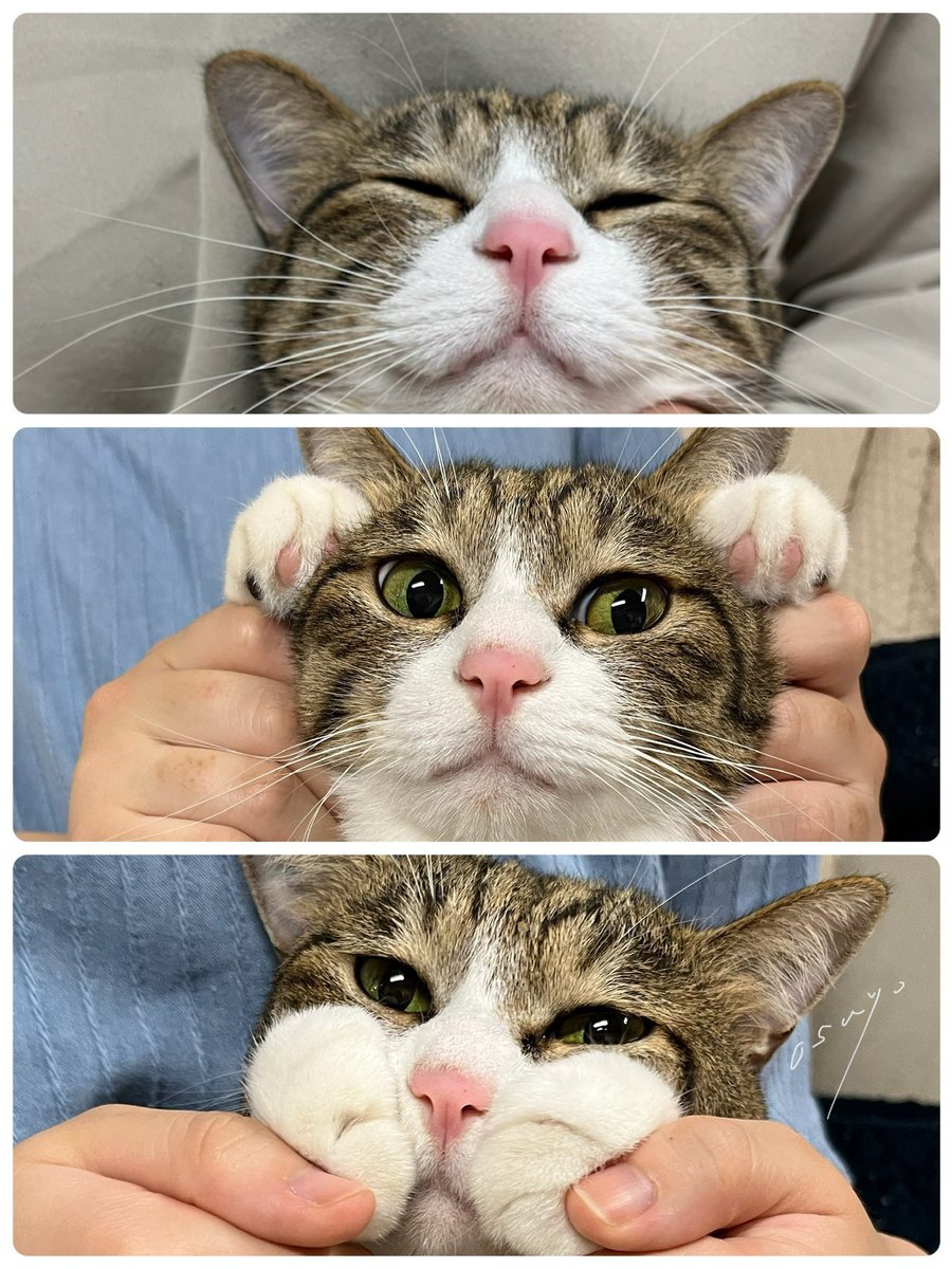 6_capsule_9's tweet image. 230806 yzy JUN
키요어 우리 준삐네코🥺