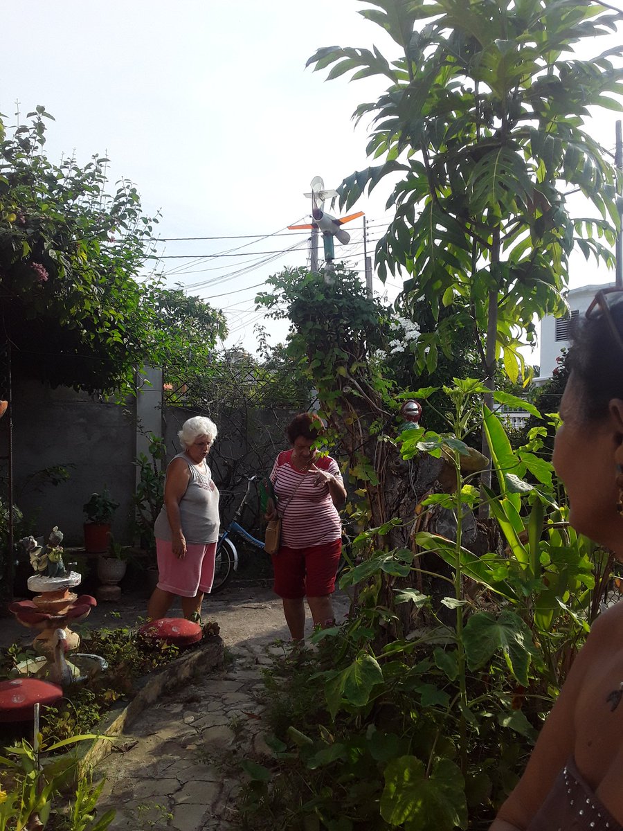 IslaFmc8594's tweet photo. Visitar a familias como la de Alina Ávila Acucuña y Reynaldo González, es un placer para la #FMC, son ejemplo de cuanto más se puede hacer con amor, esfuerzo y mucho empeño en cada pedacito para el autoabastecimiento familiar. #FMCIsla #MujeresEnRevolución #VencedorasDeImposibles https://t.co/Pbn46pVN5P