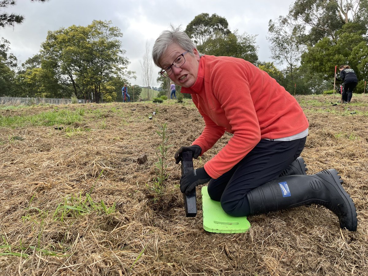 malcolm brown tweet media