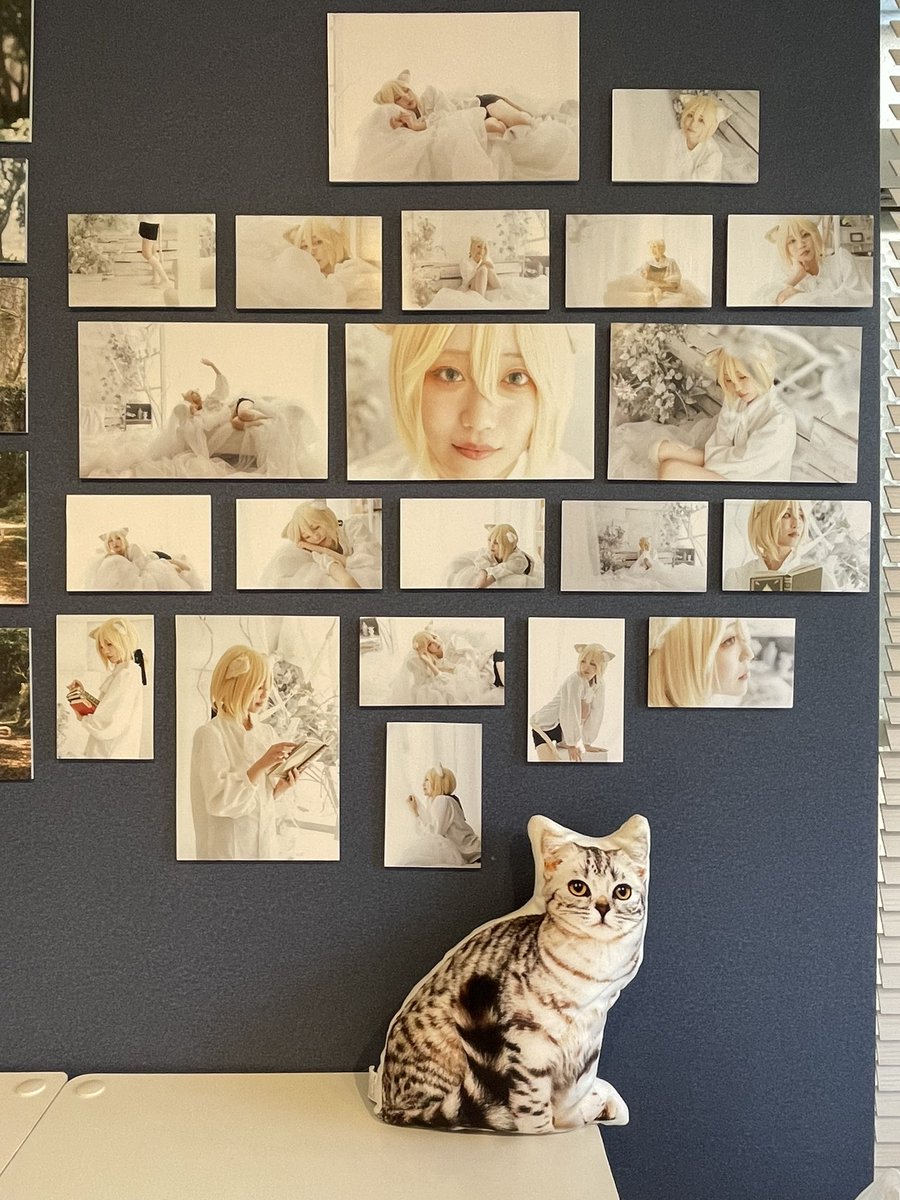 kyasarin_ss0408's tweet photo. お邪魔してきました！！
可愛い猫ちゃんイケメンな猫ちゃんたちがたくさんで幸せ空間でした！！
うみちゃんにのんちゃんおつかれ様ー！！！

@neko___0806 
#あの猫の足跡 https://t.co/bP8Lo4Iora
