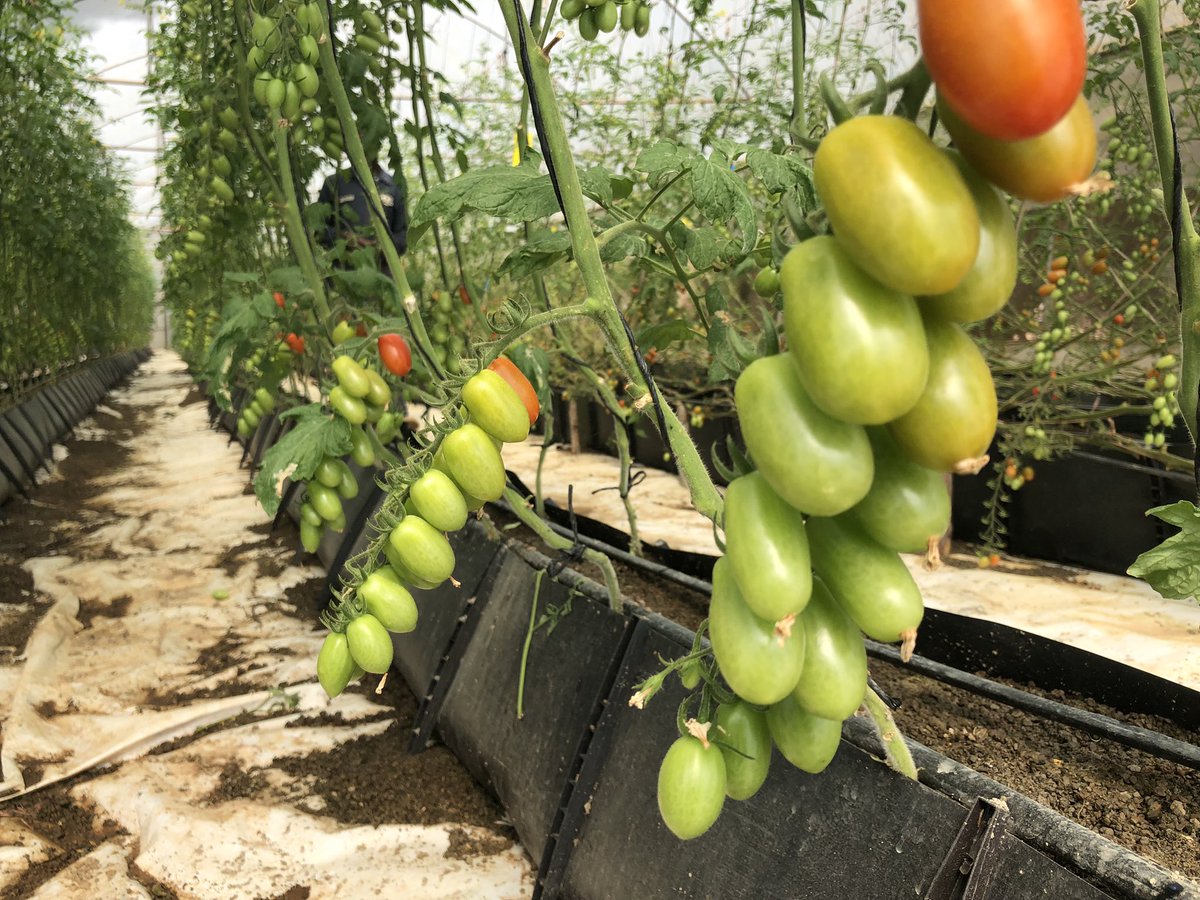 “The LORD said to me, ‘You are my son. Today I have become your Father.

Only ask, and I will give you the nations as your inheritance, the whole earth as your possession.

Psalms 2:7-8

Blessed Sunday!