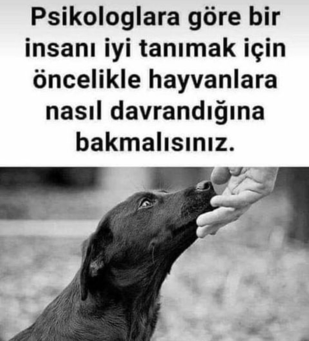 Sevgili <a href="/haysevder/">HAYSEV</a> in Instagram sayfasından yürüttüm 🤓