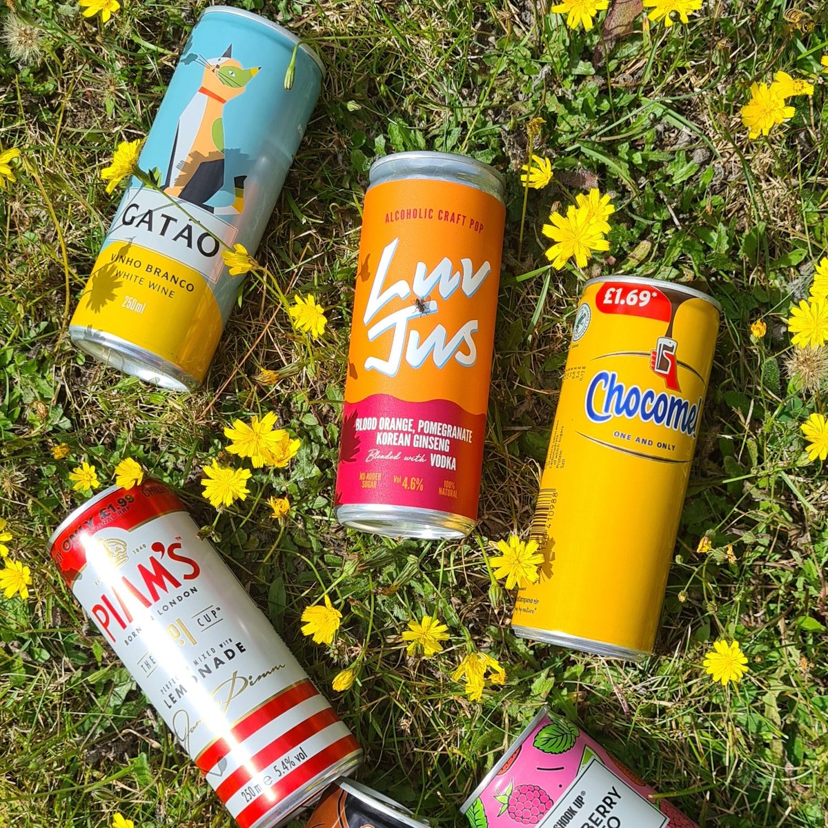 Picnic ready mine is the Chocomel. Cans are perfect for picnics everyone can drink what they fancy and best of all cans can be recycled ♻️ #prgift #MetalRecyclesForever @CanMakersUK