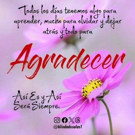 blindadosalas1's tweet photo. Definitivamente la Gratitud es la madre de todas las virtudes. Todos los días, en cada amanecer, ante cualquier circunstancia, no olvides agradecer el momento y la razón por la que estás allí. Es el aprendizaje del corazón.
@blindadosalas1 
Acuña
Países Bajos
Gilberto Correa https://t.co/YZe0rQG24e