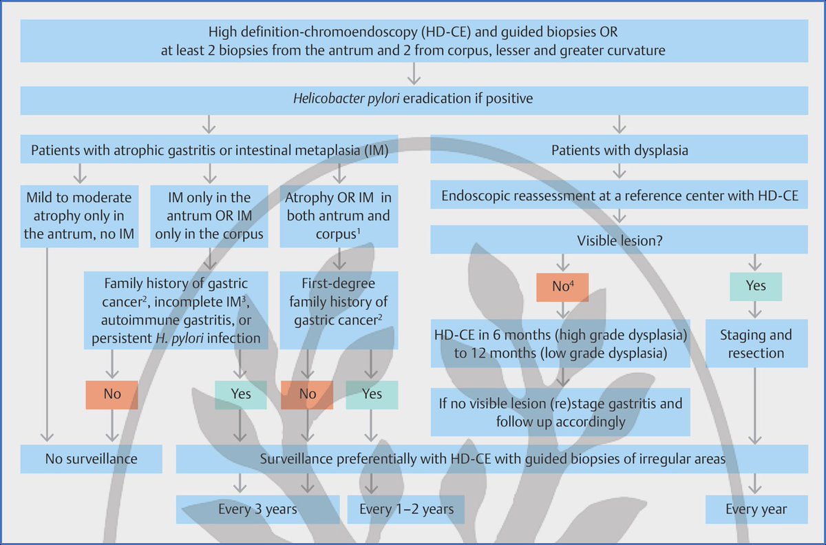 Lumír Kunovský (@lumirkunovsky) on Twitter photo 💥 great article❗️🦠🦠🦠
✅️ <a href="/KralJan/">Jan Král</a>
📕 Check also #ESGE #guideline for #precancerous conditions and lesions in the #stomach ⬇️ <a href="/endoscopyjrnl/">Endoscopy Journal</a> <a href="/ThiemeIntl/">Thieme International</a>
👇👇👇
is.gd/lNeV9h
<a href="/ESGE_news/">ESGE</a> <a href="/hpeureg/">Hp-EuReg 💊</a> <a href="/ehmsg/">#EHMSG</a> <a href="/ESP_Pathology/">European Society of Pathology (ESP)</a> <a href="/SP_Gastro/">Sociedade Portuguesa de Gastrenterologia</a> <a href="/diogolibanio/">Diogo Libanio</a> <a href="/mdinisribeiro/">Mario Dinis-Ribeiro</a> 💥 great article❗️🦠🦠🦠
✅️ <a href="/KralJan/">Jan Král</a>
📕 Check also #ESGE #guideline for #precancerous conditions and lesions in the #stomach ⬇️ <a href="/endoscopyjrnl/">Endoscopy Journal</a> <a href="/ThiemeIntl/">Thieme International</a>
👇👇👇
is.gd/lNeV9h
<a href="/ESGE_news/">ESGE</a> <a href="/hpeureg/">Hp-EuReg 💊</a> <a href="/ehmsg/">#EHMSG</a> <a href="/ESP_Pathology/">European Society of Pathology (ESP)</a> <a href="/SP_Gastro/">Sociedade Portuguesa de Gastrenterologia</a> <a href="/diogolibanio/">Diogo Libanio</a> <a href="/mdinisribeiro/">Mario Dinis-Ribeiro</a>