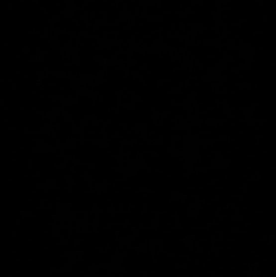 ® — Buenas noches.