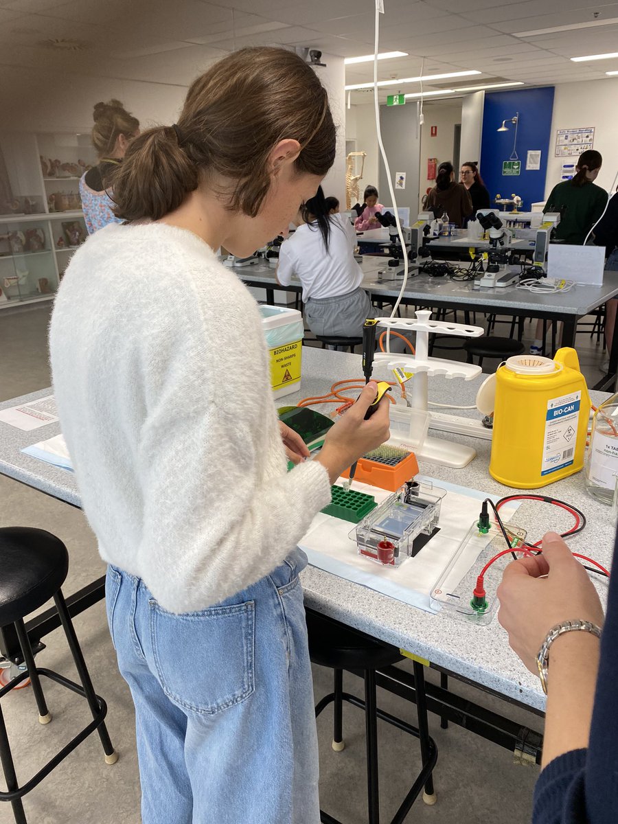 Nela Rosic tweet media