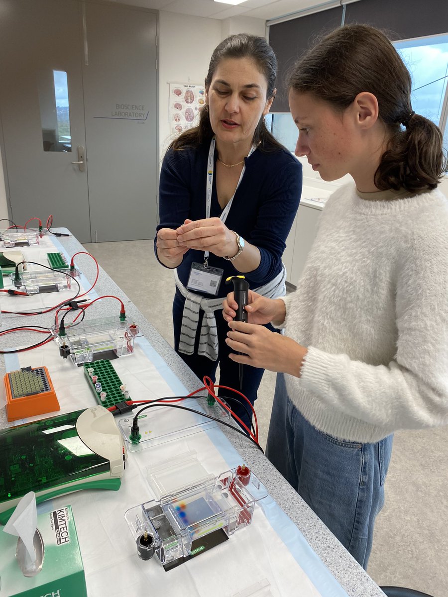 Nela Rosic tweet media