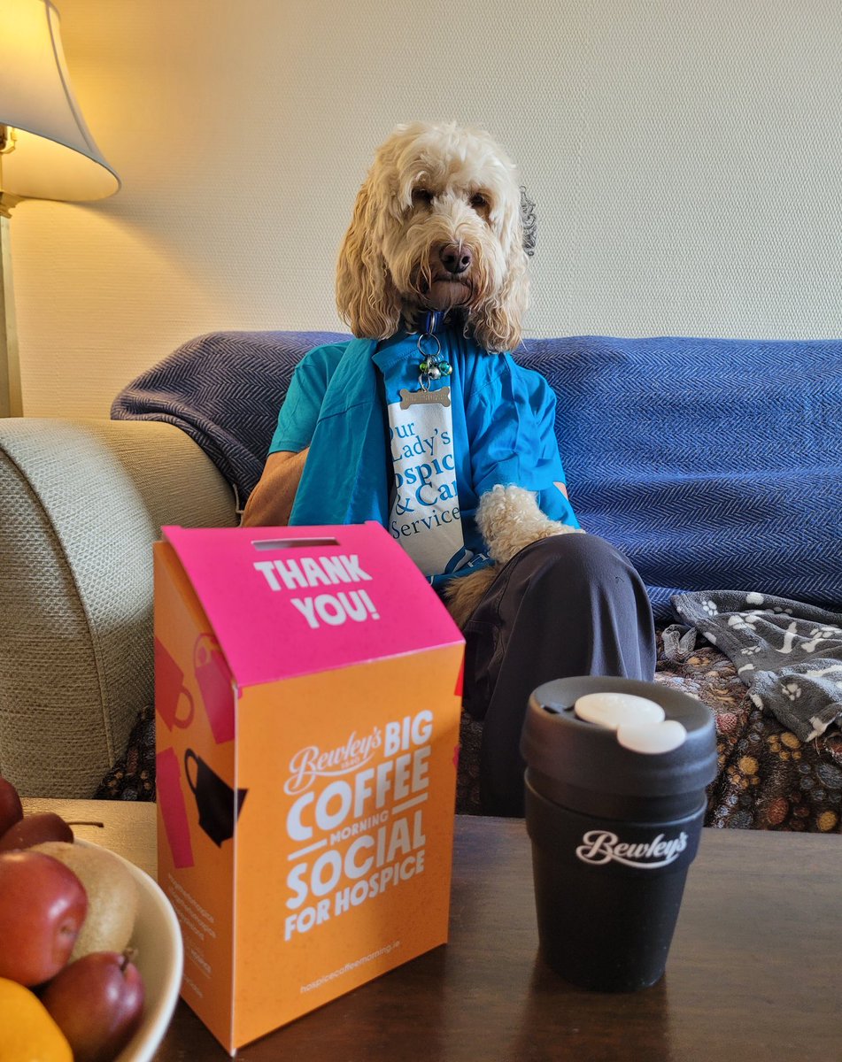 Message from Tiger. Don’t tell Charlie I sent this message. To all my furry friends. Please support our Lady’s Hospice by hosting a coffee morning Social on September 21st. To register olh.ie
Or call 01 4911072. Lots of licks, Tiger.
I love you all.