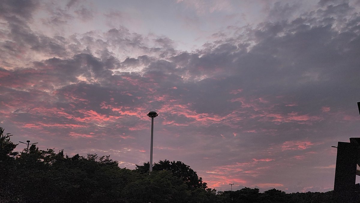 BTStranslation_'s tweet photo. a purple sunset as we come out of kspo dome 🥹💜

#D_DAY_THE_FINAL_D3 #D_DAY_THE_FINAL https://t.co/kcMUPFVBdY