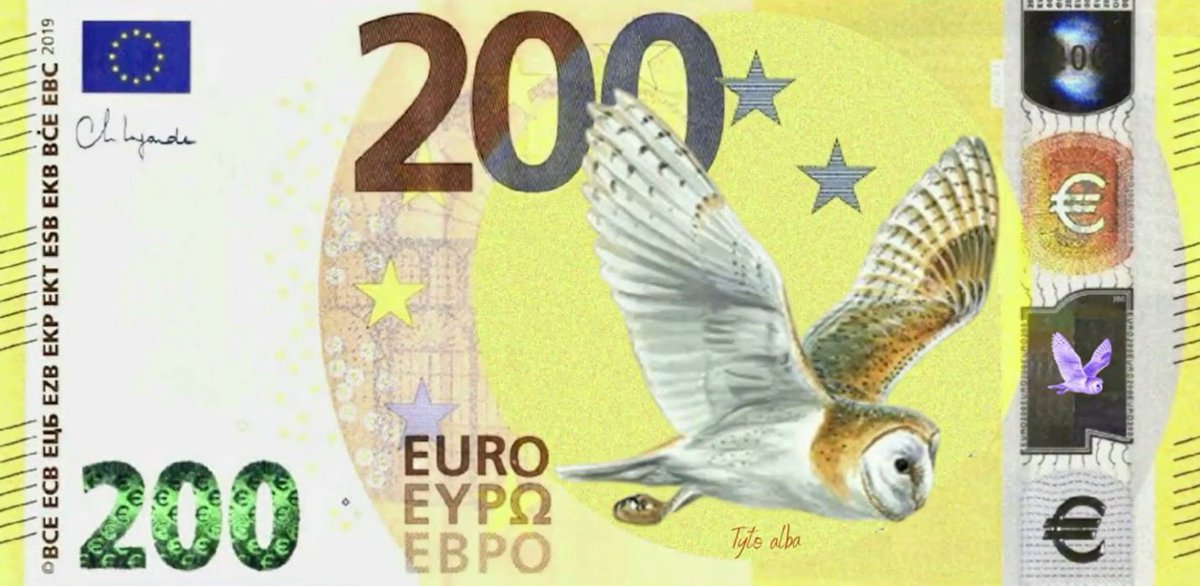 WildOnNatura's tweet photo. ¿Te gustaría ver aves en los billetes de Euro?
¡El Banco Central Europeo está rediseñando los billetes y pide comentarios sobre temáticas!
@BirdLifeEurope está moviendo esta campaña, con algunos preciosos ejemplos.
Vota aquí 👇
https://t.co/YZ3GU1L7My https://t.co/SwmmLBk2Wc