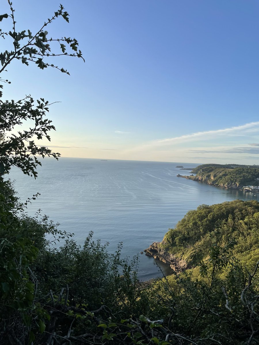 laurawright72's tweet photo. 6am start ๐ณ for a 10 mile hike along the coastal path #babbacombe #labradorbay https://t.co/ILJMvgTeDF