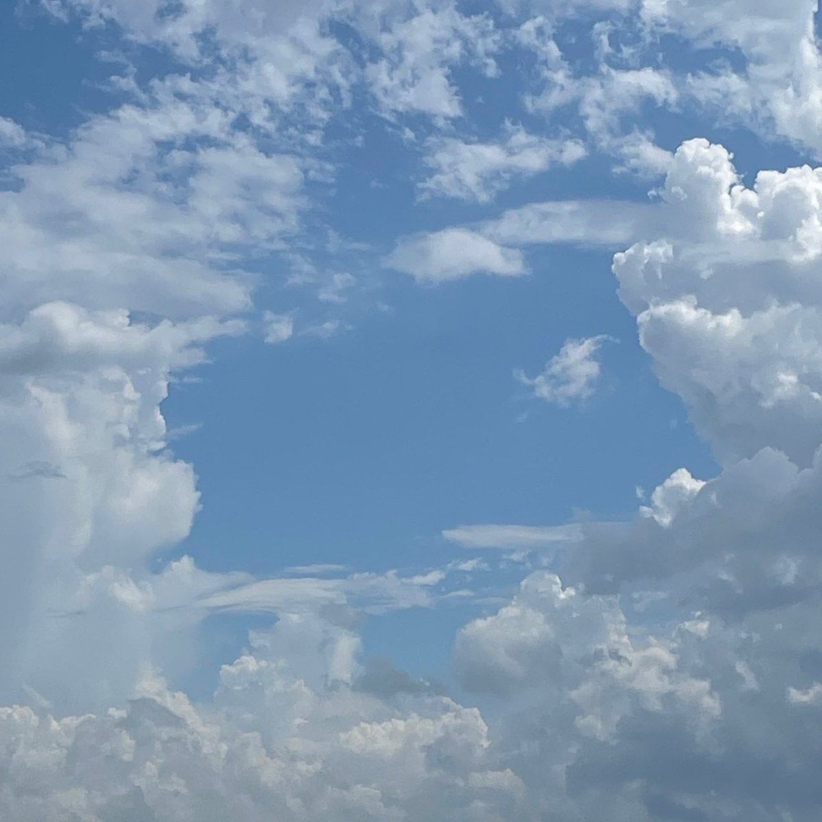 아나 진실로 함박웃음 지었어ㅋㅋㅋㅋ😻