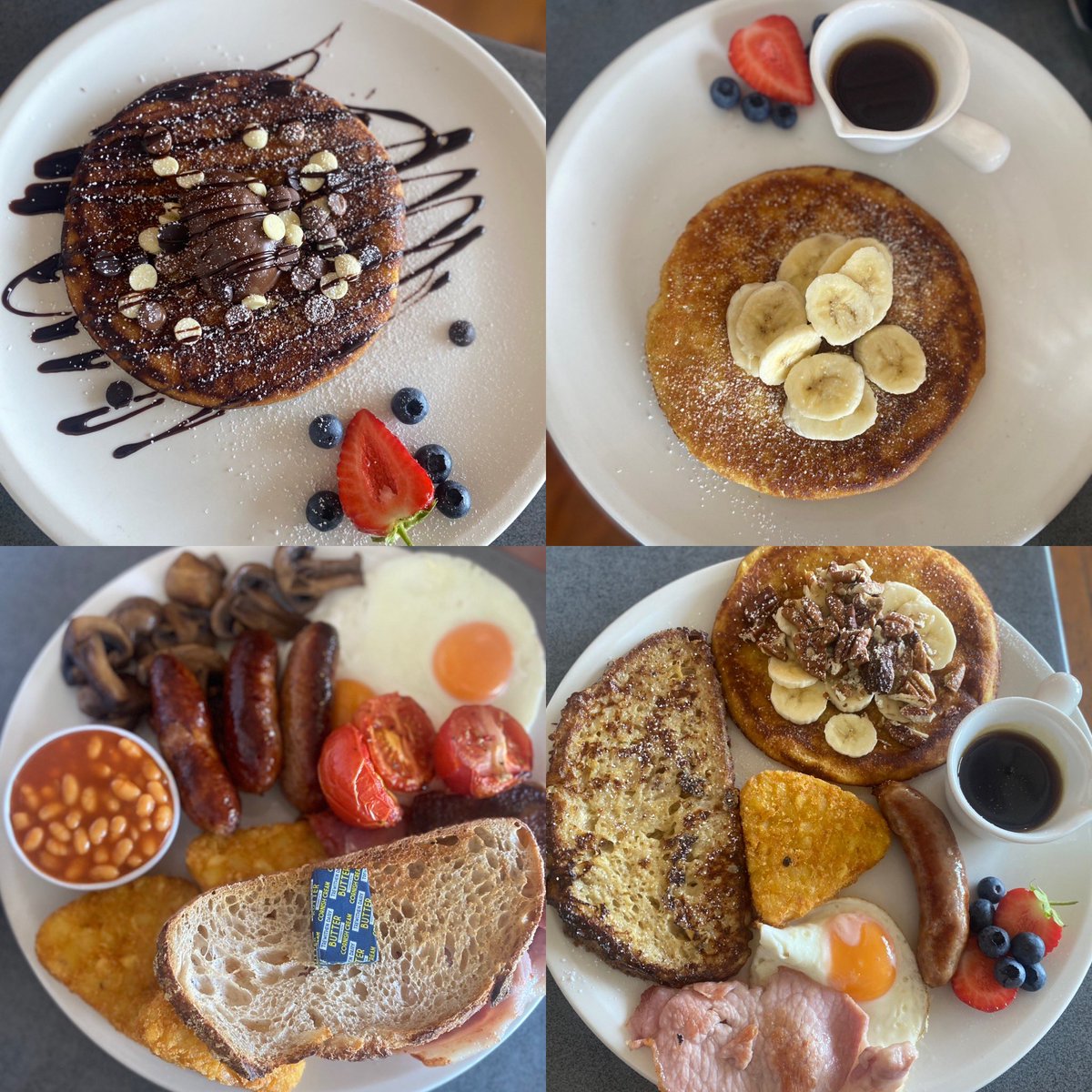 Shelley Jackson 💙 tweet media