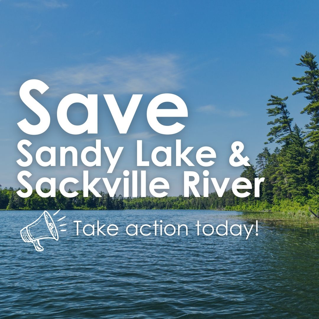 There's still time to save Sandy Lake and the Sackville River from development, but to do so, we need your help!⁠

Visit bit.ly/SandyLakeTW to send a message to decision makers urging them to spare the Sandy Lake/Sackville River area from development.⁠
⁠
#SandyLake
