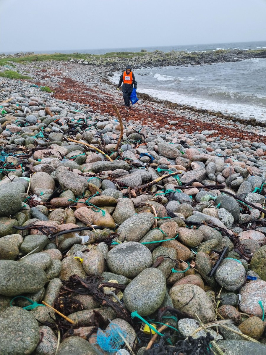 A huge shoutout to #CleanCoasts volunteers @sandlarks & @GalwayAquarium who took part in the #BigWeighIn organised by @flossiebeachcl1 last weekend, despite the rain & removed a lot of marine litter. Keep an eye out to see what they collected!