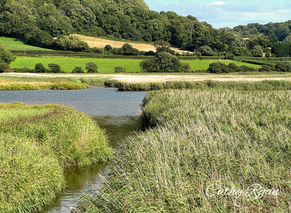 #SundayStills ~ Here Comes #Summer (hopefully...) #Coast #Scenery #Landscape 

betweenthelinesbookblog.com/2023/08/06/sun… via <a href="/CathyRy/">CathyRyan</a>