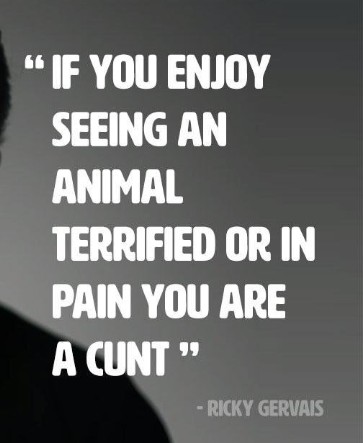 fannycanny's tweet photo. @AdoptionsUk @rampage357 @darknessofmice https://t.co/zkn4gIrKn0