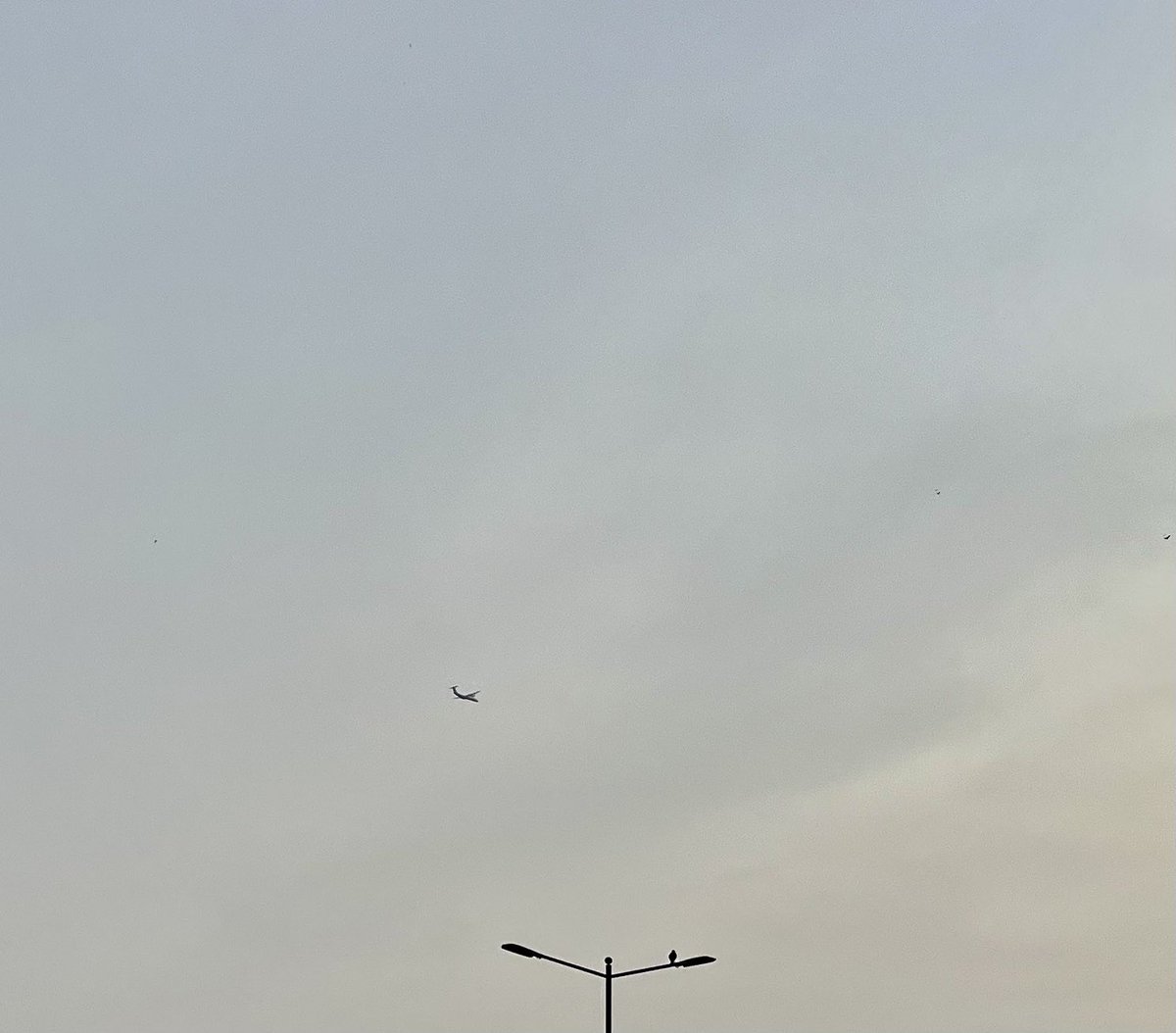 aloktveet's tweet photo. राह-ए-नज़र…..

Technology transfer !!

तकनीक हमारी,
उड़ान तुम्हारी।

#flight #aviation #Flighttechnology #planes #pigeon 
@SrBachchan @DrKumarVishwas @hvgoenka @anandmahindra https://t.co/Q7Ne5Z2uwO
