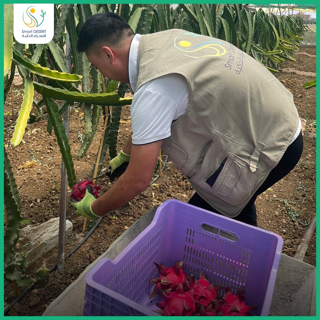 Smart DESERT tweet media