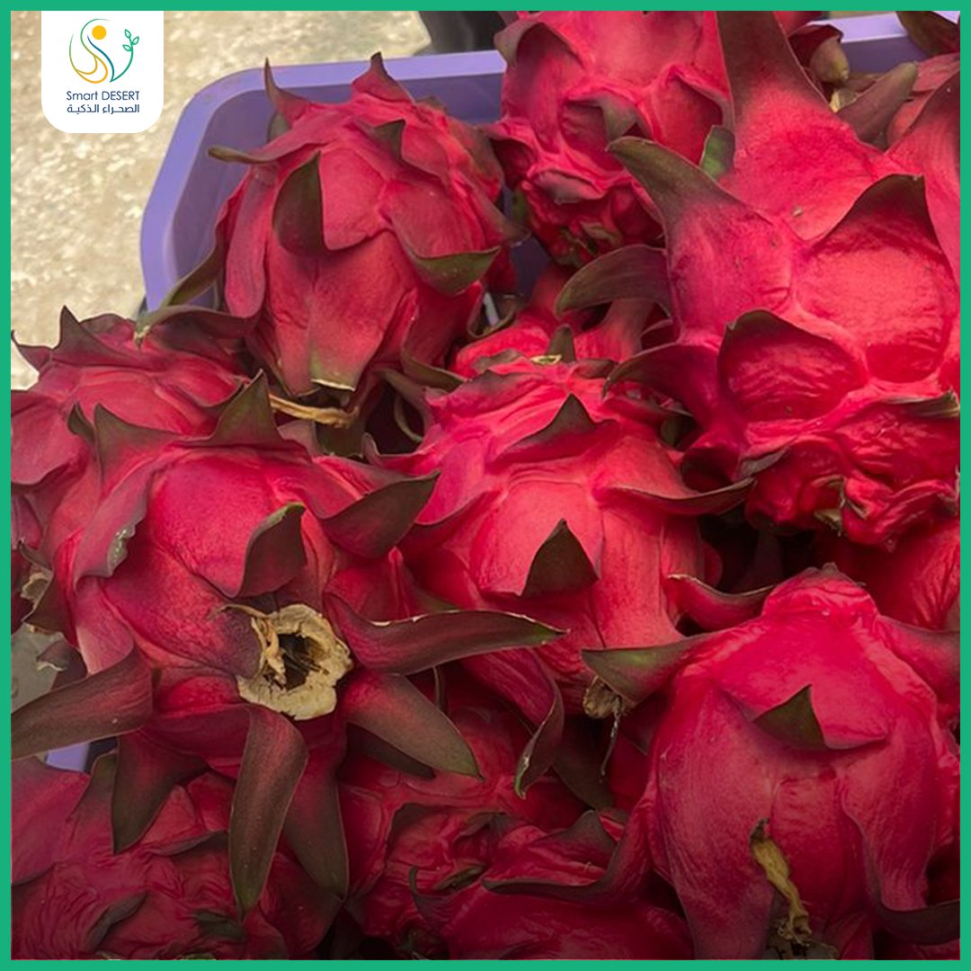 Smart DESERT tweet media