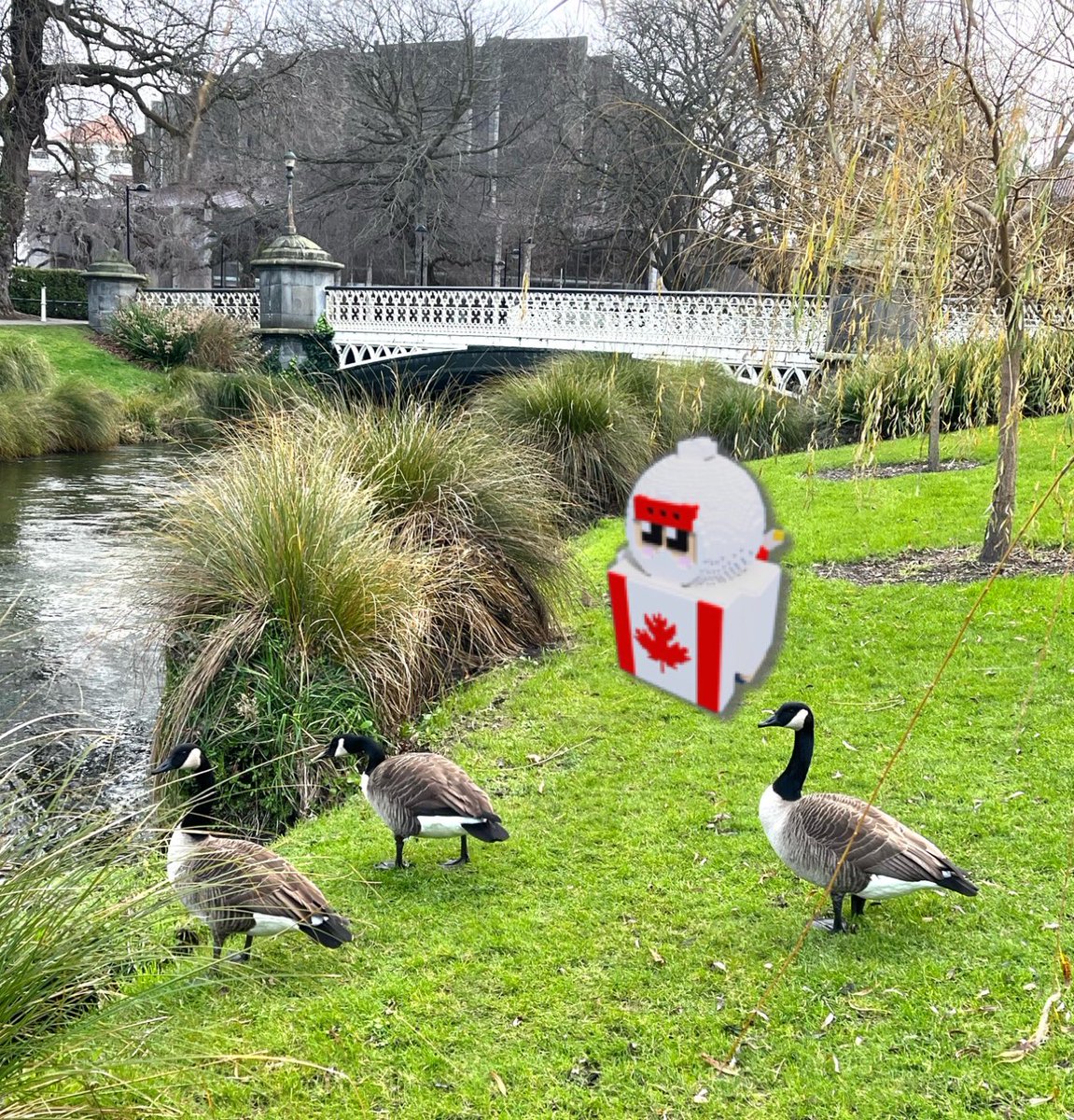 【忍者ツアー⑬🥷】

クライストチャーチ市内の公園⛲️
市内には散歩できる広大な公園がたくさん。どこも整備されていて驚くほど綺麗✨✨

出演はカナダ忍者のネオンちゃん ＠JellyNeon_nft 
#国旗忍者ツアー