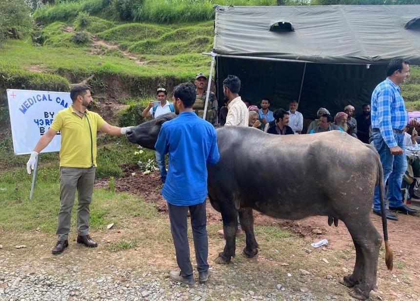 #WeCare

#IndianArmy Conducted Medical #Veterinary Camp in Pir Panjal,  
Parore Gurjan, #Rajouri (J&K) where #Veterinary support to 83 livestock was given. Villagers, Sarpanchs, Panchs & populace appreciated & expressed #ProfoundGratitude towards #IndianArmy 
#TejRanFam