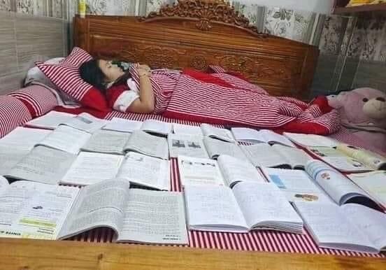 ✩ ͙˚˖ diarydek69 ´ ˘ ` 🍀(slow) tweet media