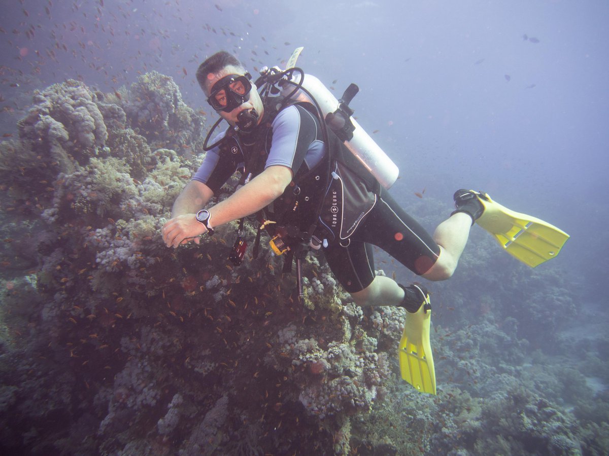Padi Diver Alberto tweet media