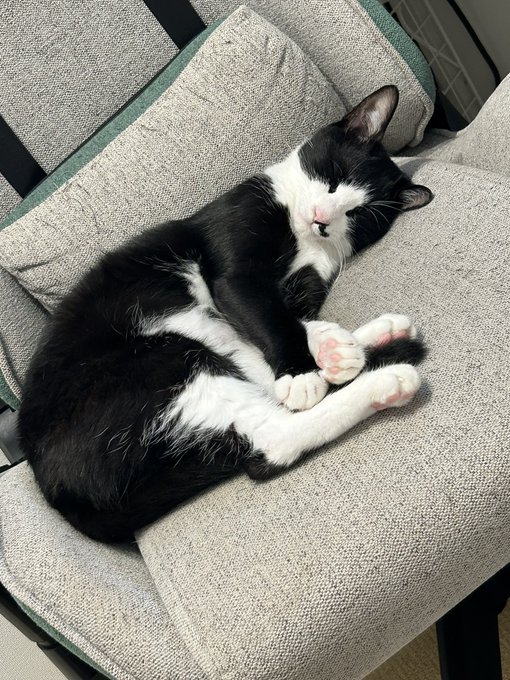 大体いつも奪われてる 