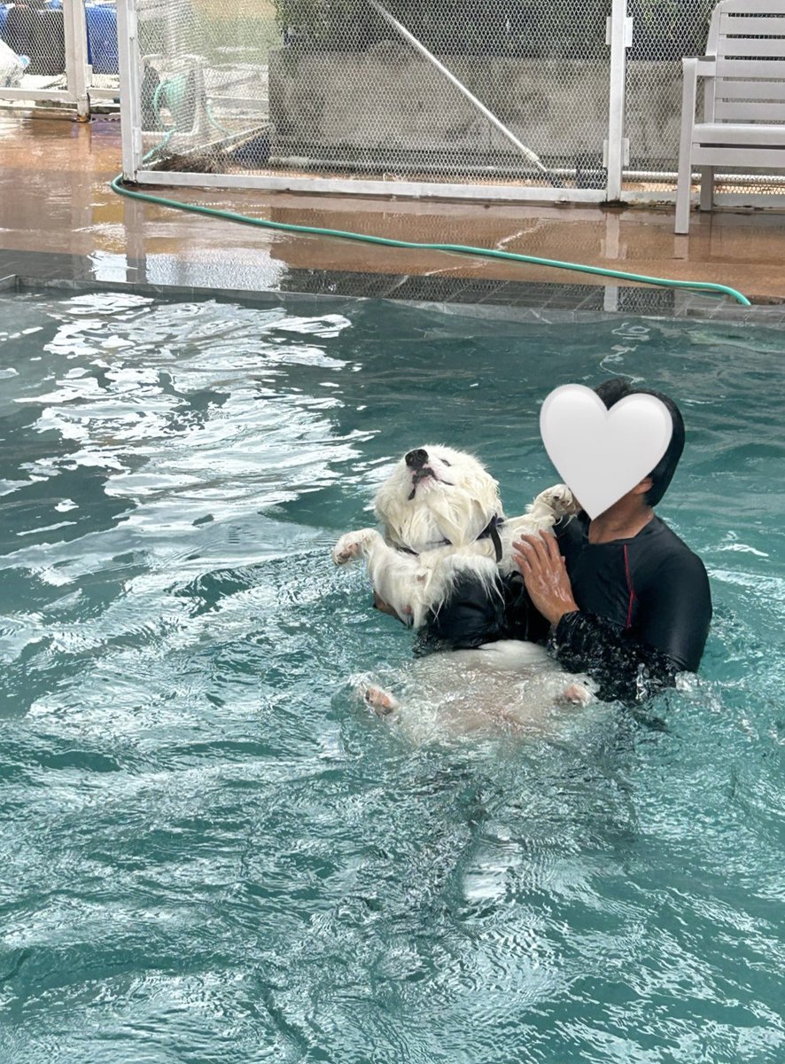 พอร์ชขอตุย