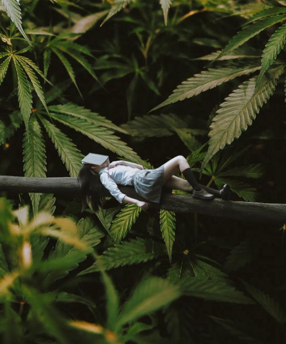 Countdown to Women’s Day…

📸 julianmajin