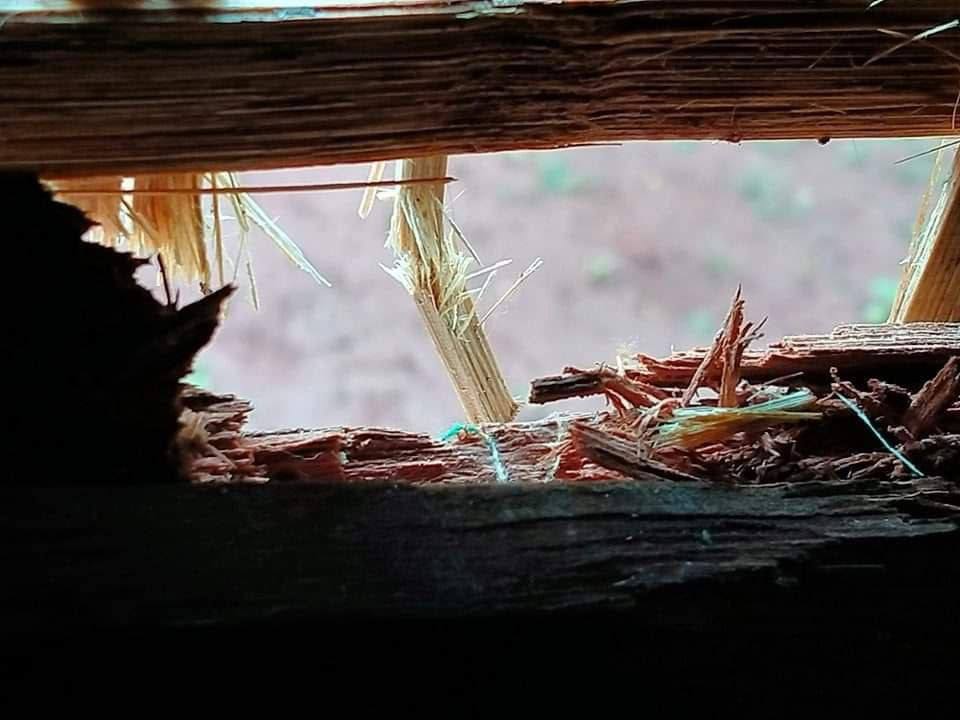 mcube_mcube's tweet photo. A resident got injured and 2 houses were damaged by the artilleries shelled by junta soldiers in Demoso tsp last night.   

#AcceptNUGRejectMilitary #WhatsHappeningInMyanmar #2023Aug6Coup https://t.co/SqdPD2XETX