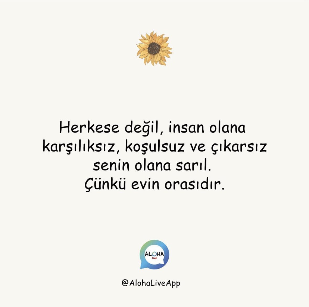 AlohaLiveApptr's tweet photo. https://t.co/49O7DaXwXV