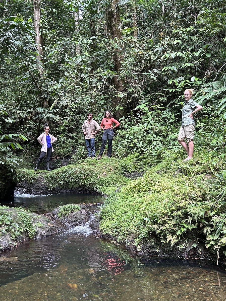 The Ants of the World Project tweet media