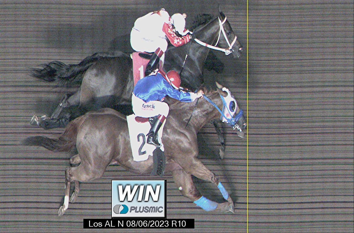losalracing's tweet photo. It's a photo finish! 📷Empressum by a nose over Scoops Dynasty in the Bank of America California Challenge Championship. https://t.co/PzjSnIcvCD
