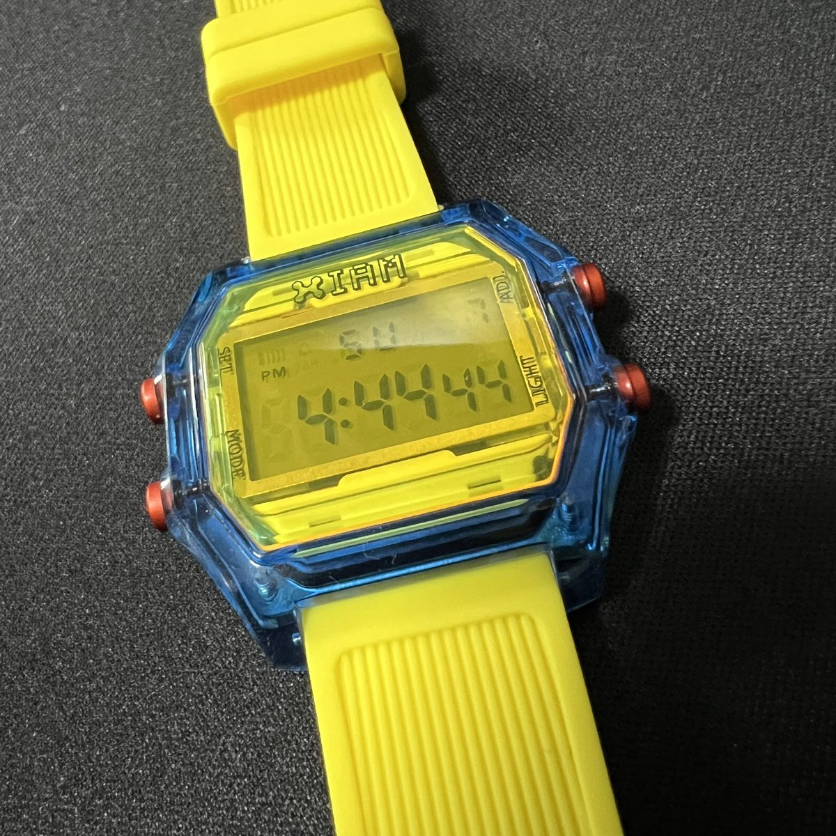 フェス王国🍊👑 tweet media