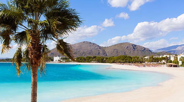 AutosVima's tweet photo. The bays of Alcudia in Mallorca offer dreamy beaches and crystal-clear waters. Soak up the sun, and savor delicious Mallorcan dishes!
#beach #alcudia #sommer #VimaRentaCar #sea #islandlife 
https://t.co/smb2xdWUTc https://t.co/0rWzlaocyC
