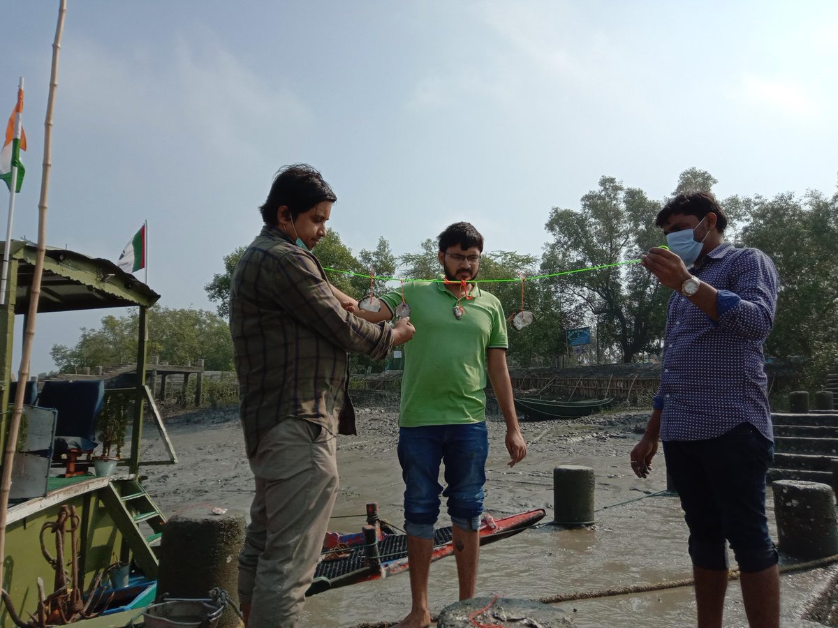 #InternationalOysterDay Our team has been mapping indigenous populations of Oyster of Sundarbans @SuSTSMangrove and exploring their resilience to disturbances such as cyclone @Anweghosh @ArkapravaManda7 @Yash_y07 @Vats_Chakresh @ITMERG1