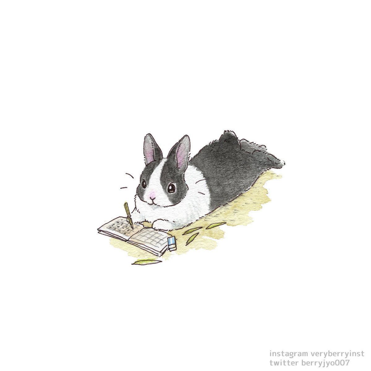 no humans pencil white background lying animal focus on stomach rabbit  illustration images