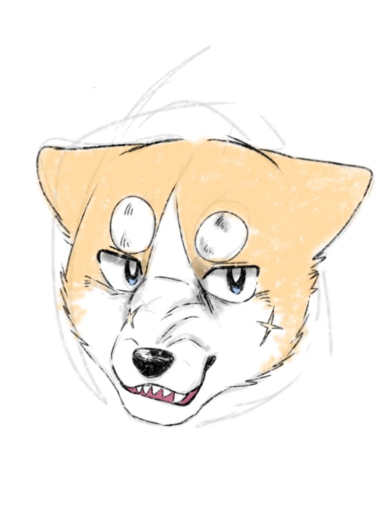 . (@lxljuj) on Twitter photo 