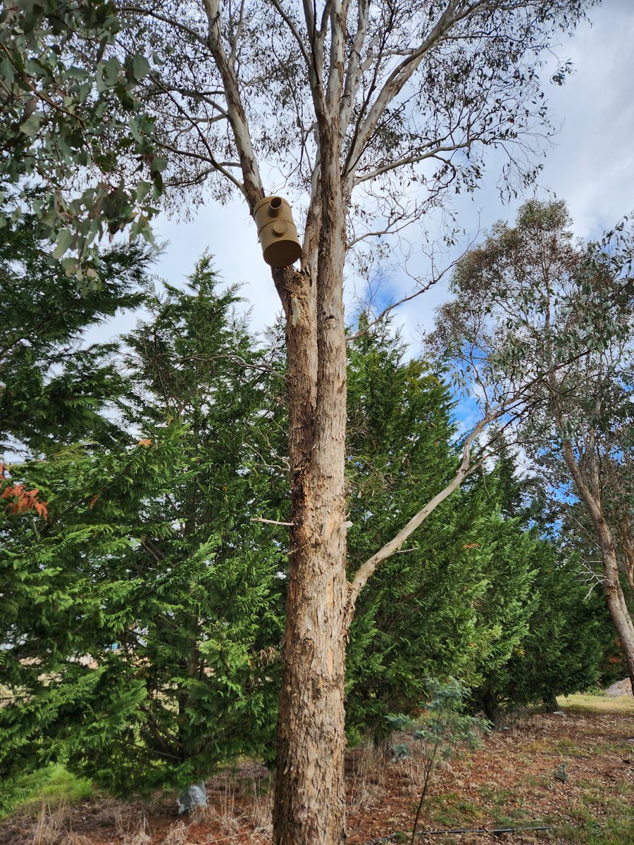 Mick Callan tweet media