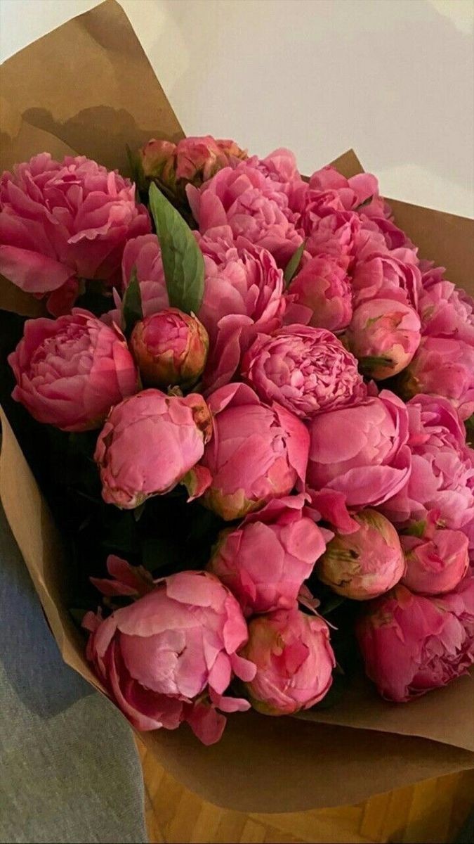 🌷🌷🌷🌷🌷🌷🌷🌷🌷🌷🌷🌷🌷🌷🌷🌷🌷🌷🌷🌷🌷🌷🌷🌷🌷🌷🌷🌷🌷
Happy friendship day to all of my bestie🌷🌷🌷🌷🌷🌷🌷🌷🌷🌷🌷🌷🌷🌷🌷🌷🌷🌷🌷🌷🌷🌷🌷🌷🌷🌷🌷🌷🌷🌷🌷🌷🌷🌷🌷🌷🌷🌷🌷🌷🌷🌷🌷🌷🌷🌷🌷🌷🌷🌷🌷🌷🌷🌷🌷🌷🌷🌷🌷🌷🌷🌷🌷🌷🌷🌷🌷🌷🌷🌷🌷🌷🌷🌷🌷🌷🌷🌷🌷🌷🌷🌷🌷🌷🌷🌷🌷🌷🌷🌷