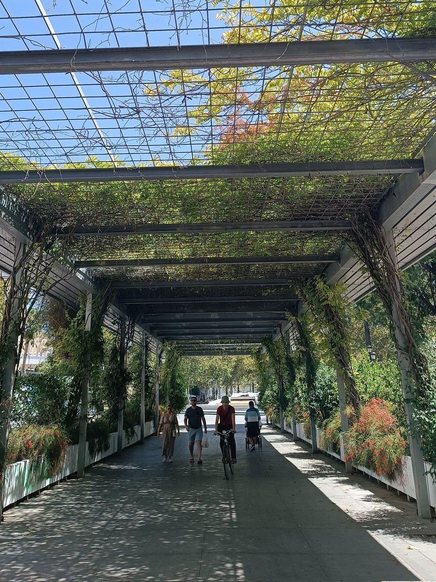 El ayuntamiento de Sevilla va a privatizar la pérgola del Paseo del Cristina con el objetivo de poner quioscos bares en su interior. Siguen las políticas de hacer del centro de Sevilla un espacio para el turista que expulsa al sevillano. Turista deshidratado, turista que consume.