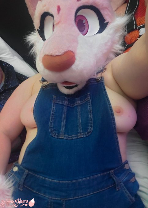 Today is your last day to come find me in the Dealer's Den at TFS! Don't want to leave without grabbing